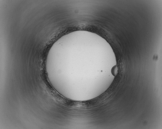 X0000114020750200910231836