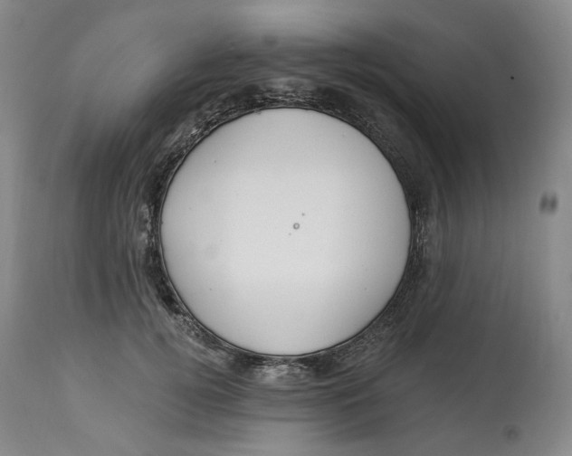 X0000114020752200910231836