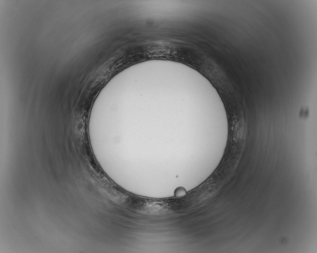 X0000114020753200910231836