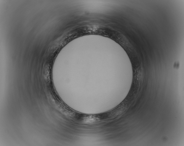 X0000114020754200910231836