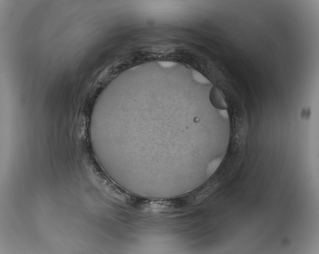 X0000114020758200910231836