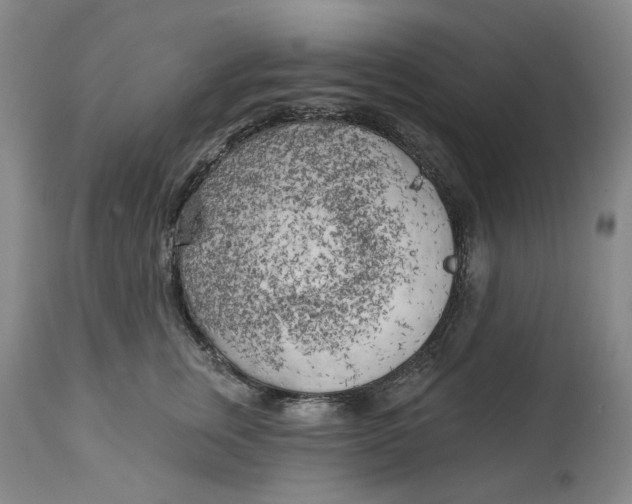 X0000114020759200910231836