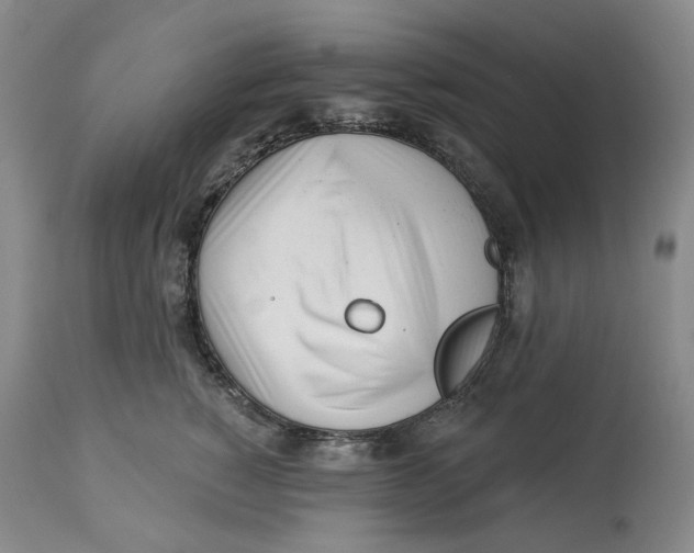 X0000114020760200910231836