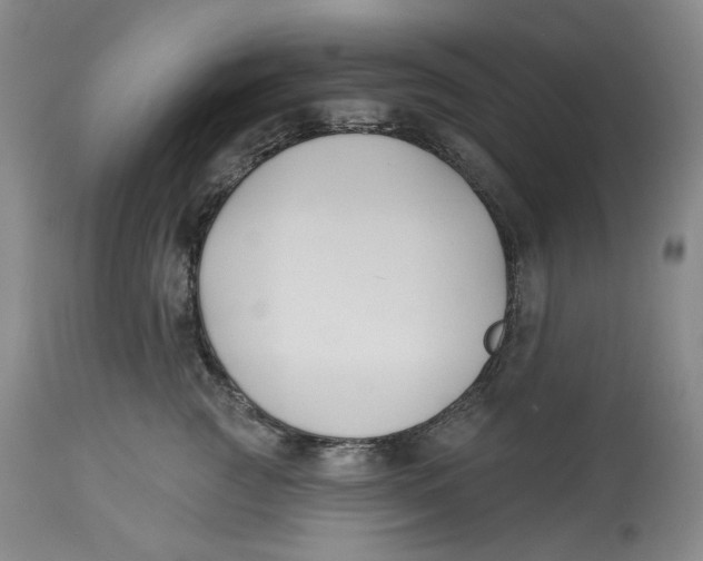 X0000114020761200910231836