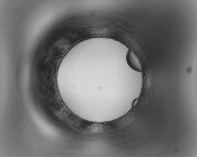 X0000114020764200910231836