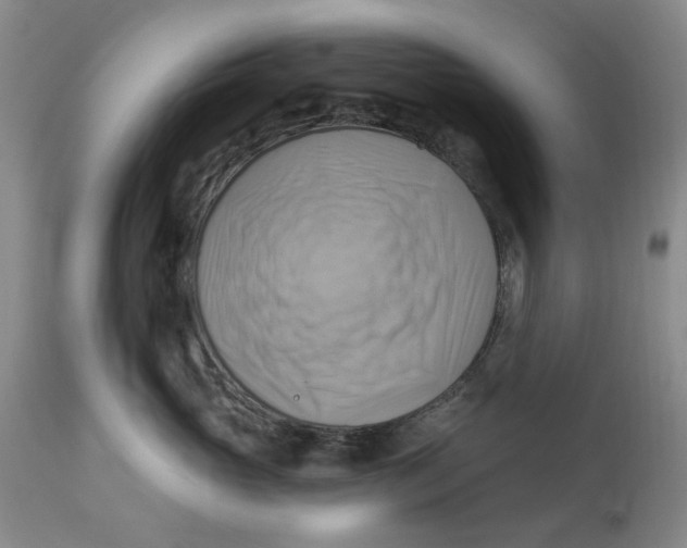 X0000114020765200910231836