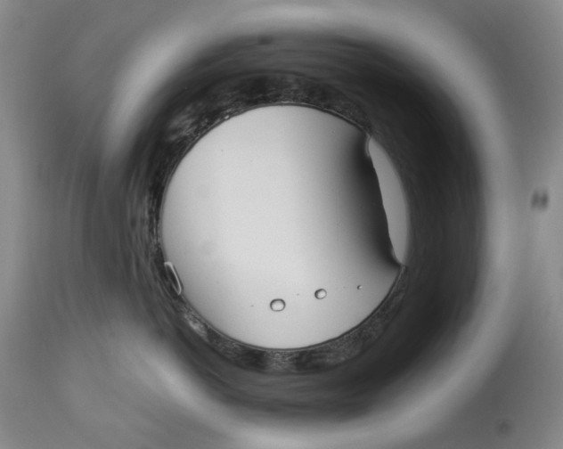 X0000114020766200910231837