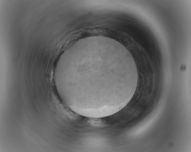 X0000114020767200910231837