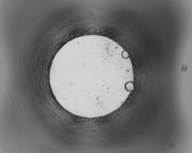 X0000114020769200910231836