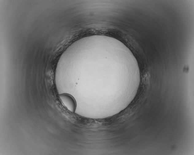 X0000114020772200910231836