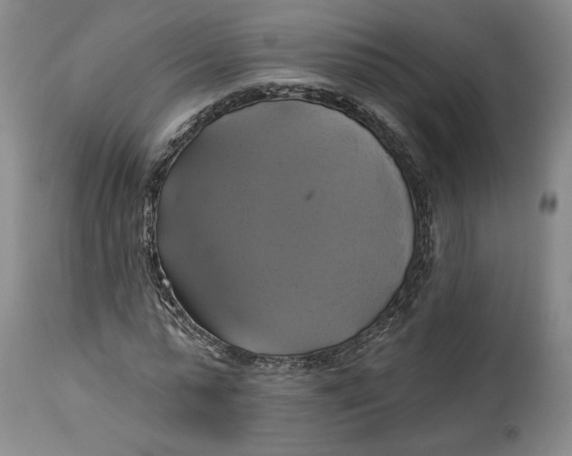 X0000114020775200910231836