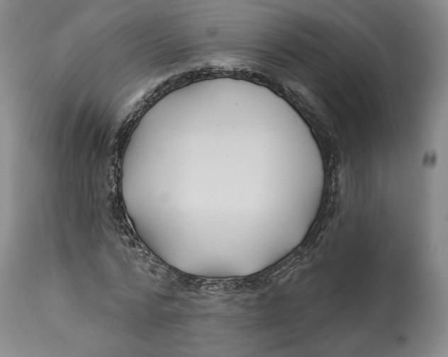 X0000114020776200910231836