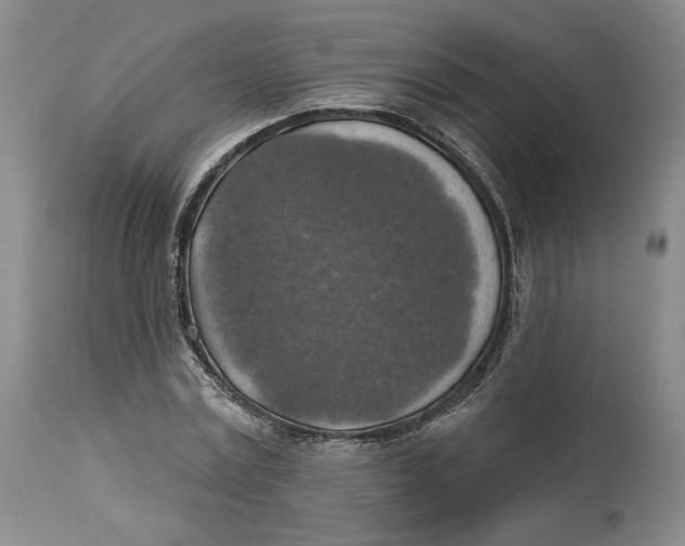 X0000114020779200910231836