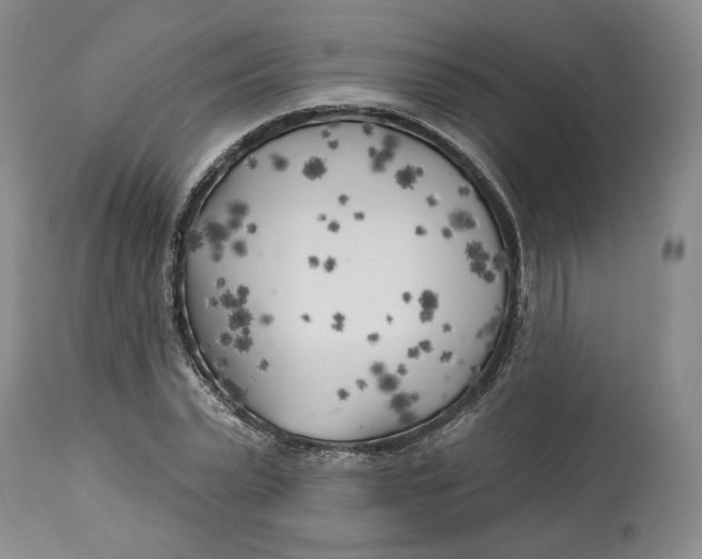 X0000114020783200910231836