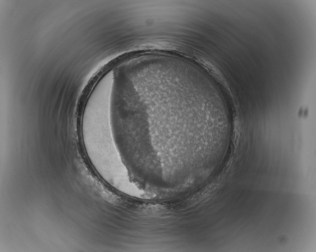 X0000114020784200910231836