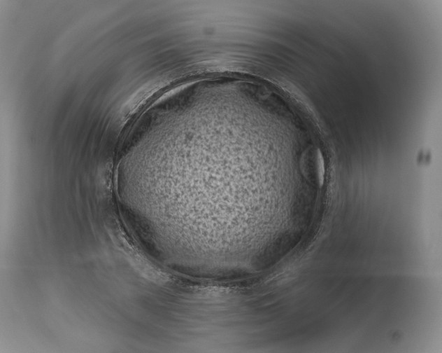 X0000114020785200910231836