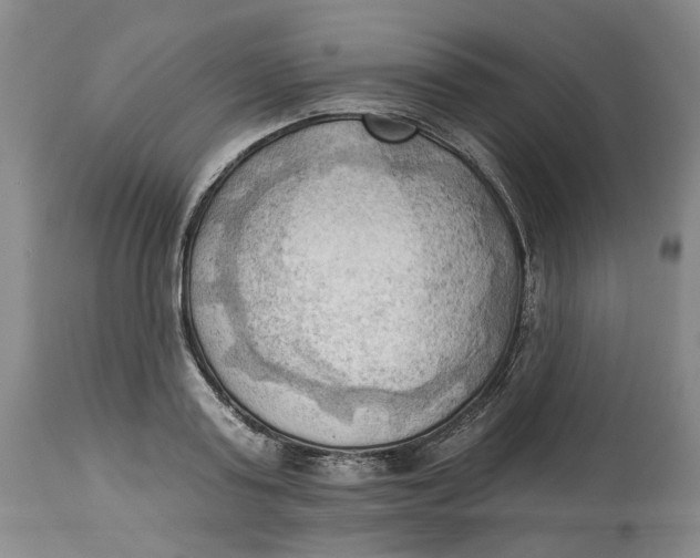 X0000114020795200910231836