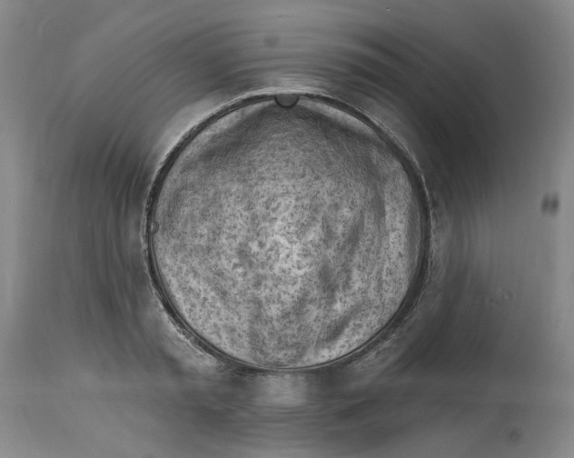 X0000114020797200910231835