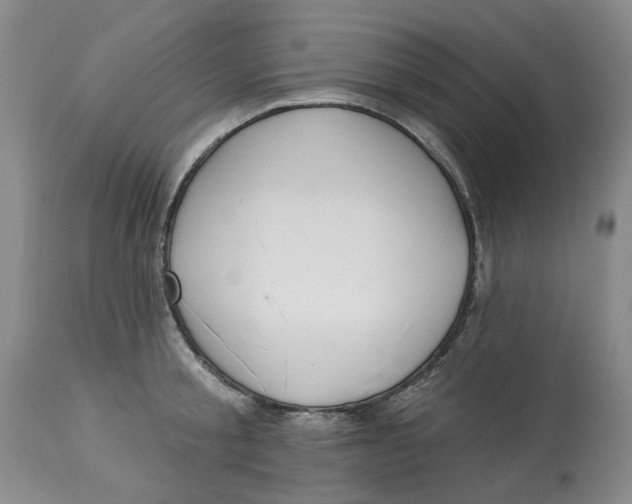 X0000114020805200910231835