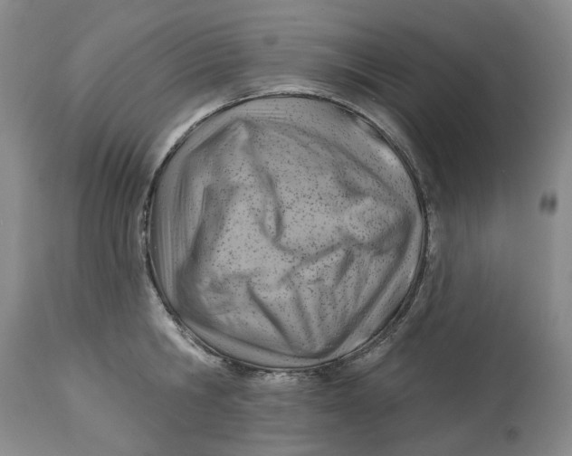 X0000114020806200910231835