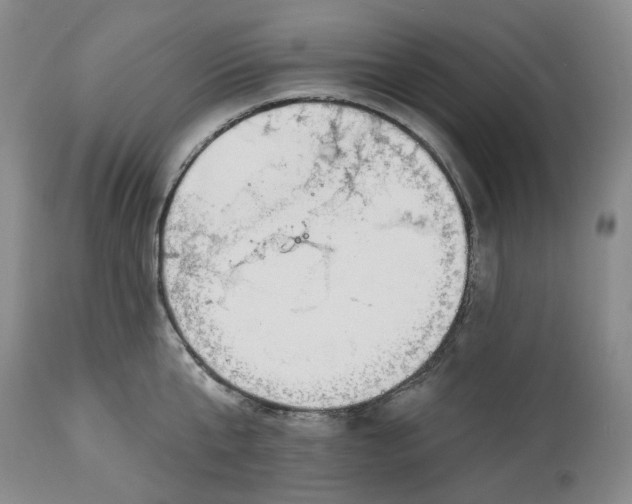 X0000114020807200910231835