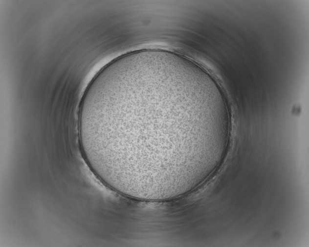 X0000114020808200910231835