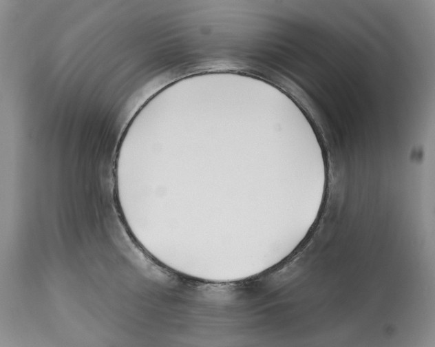 X0000114020810200910231835