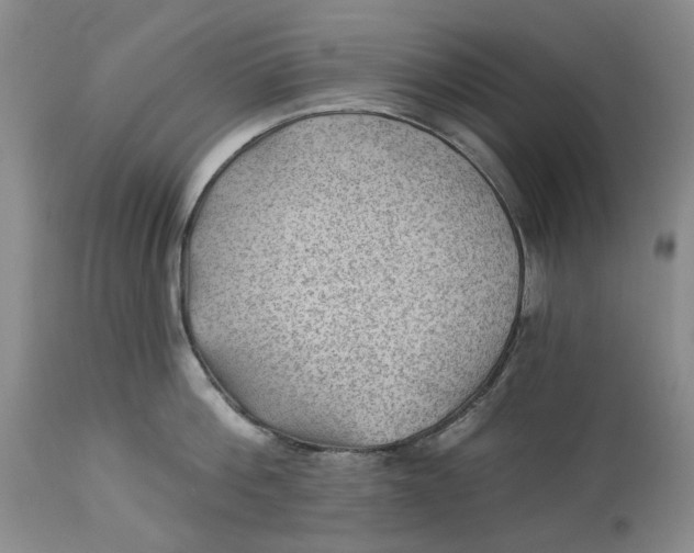 X0000114020812200910231835