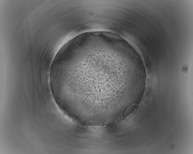 X0000114020813200910231835