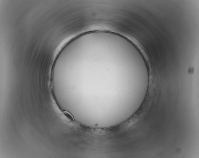 X0000114020815200910231835