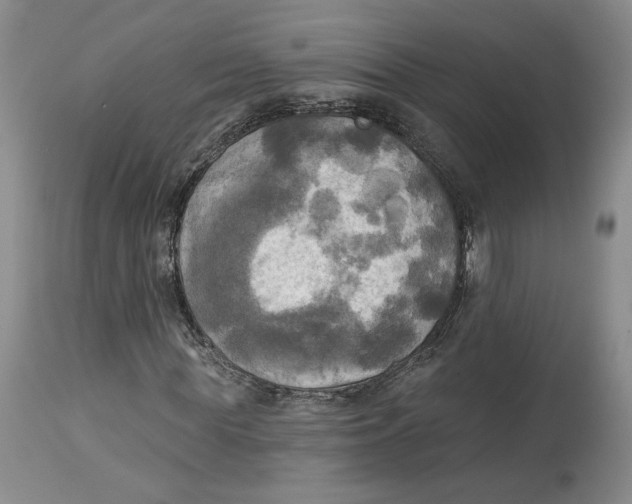 X0000114020819200910231835