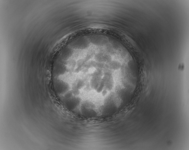 X0000114020821200910231835