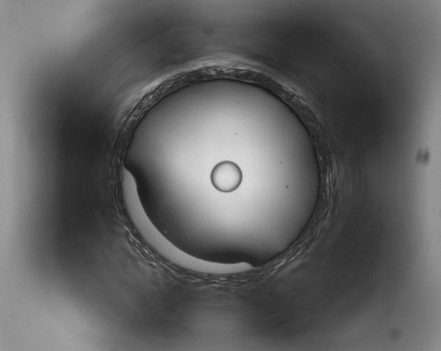 X0000114020822200910231835