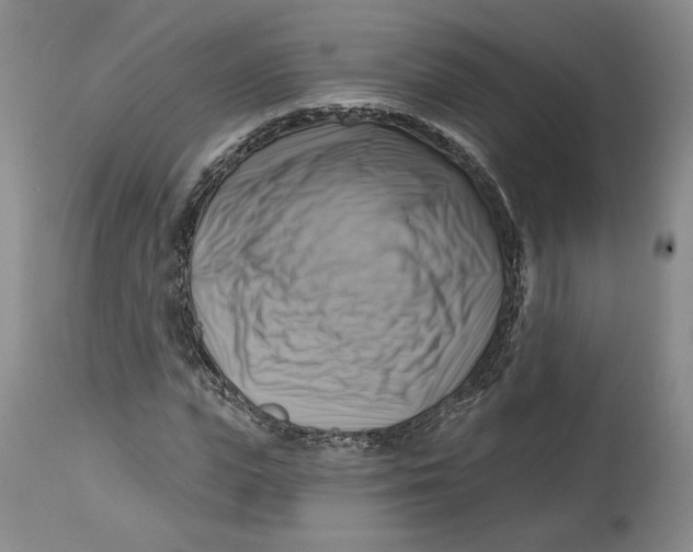 X0000114020823200910231835