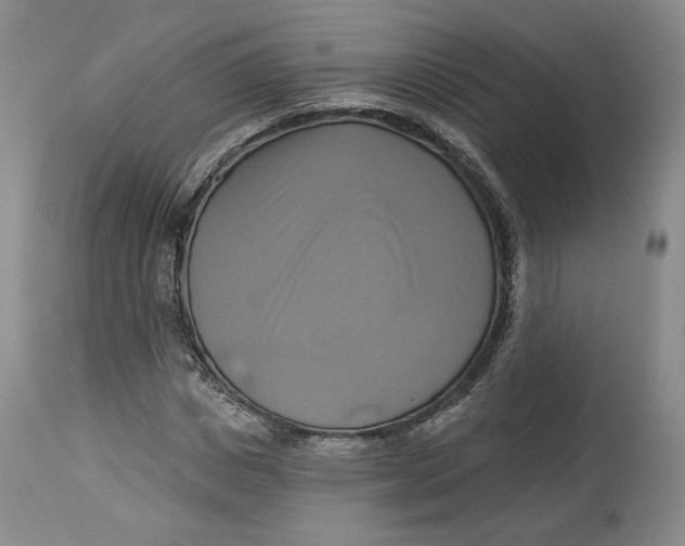 X0000114020825200910231835