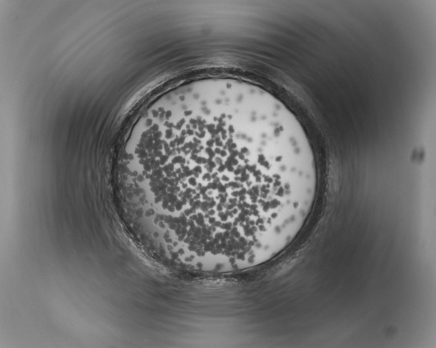 X0000114020826200910231835