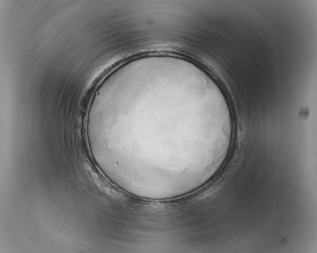 X0000114020827200910231835