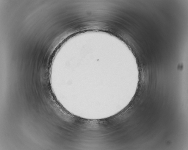 X0000114020828200910231835