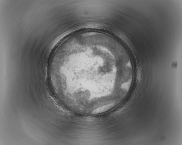 X0000114020829200910231835