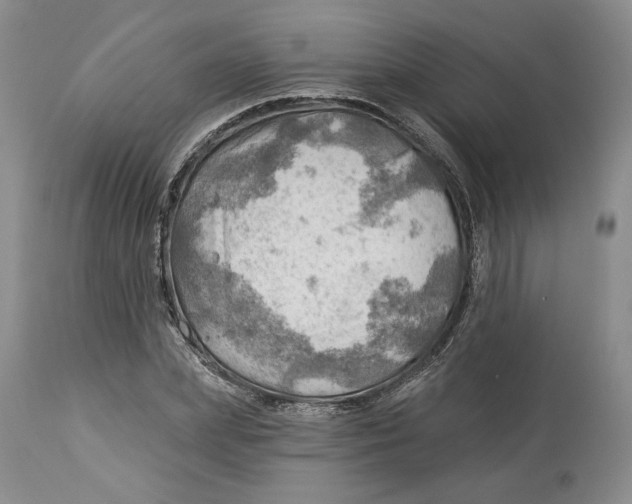 X0000114020831200910231835