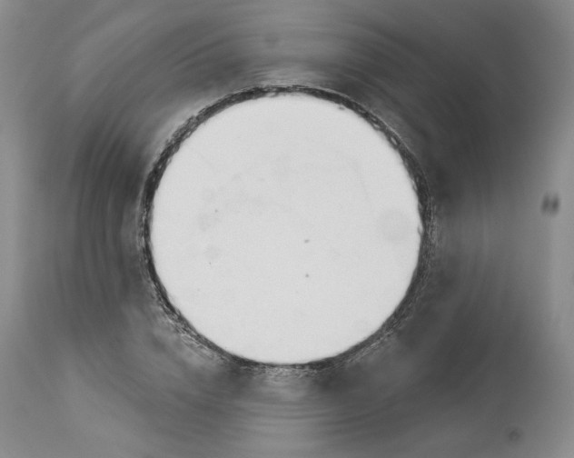 X0000114020832200910231835