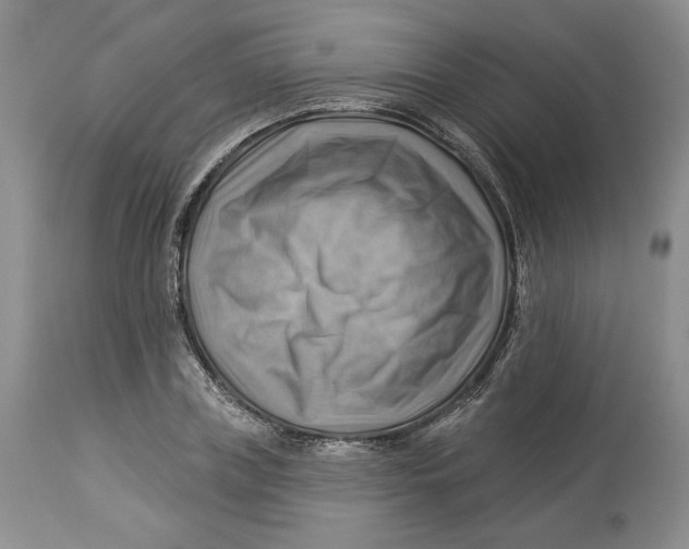 X0000114020835200910231835