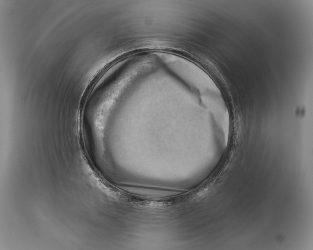 X0000114020839200910231835