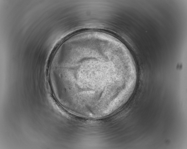 X0000114020840200910231835