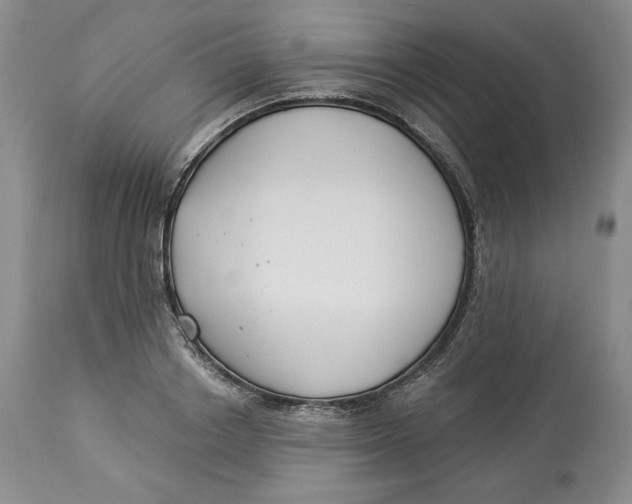 X0000114020842200910231835