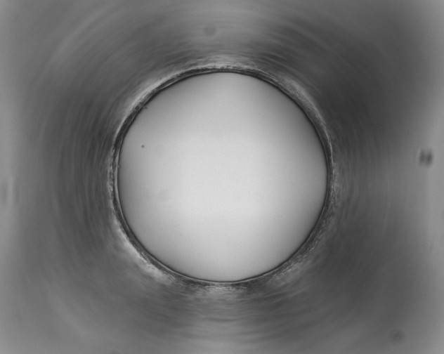 X0000114020847200910231835