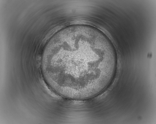 X0000114020849200910231835