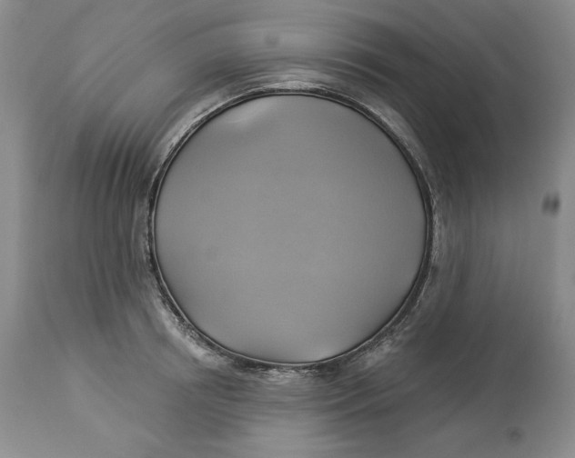 X0000114020850200910231835