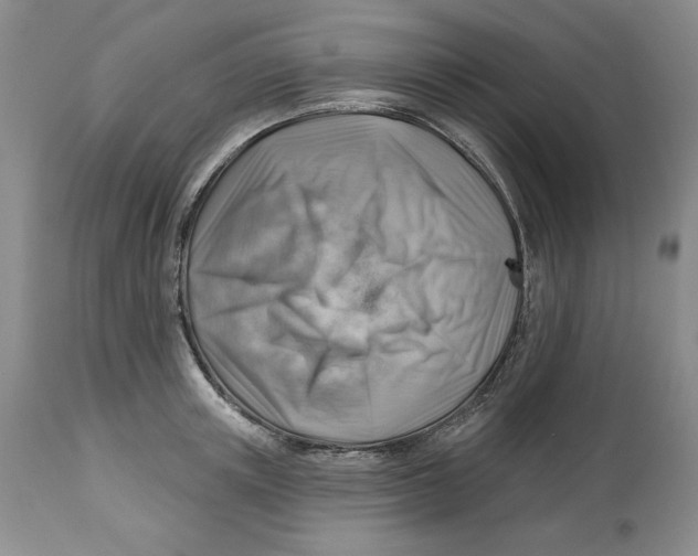 X0000114020851200910231835