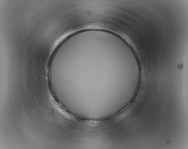 X0000114020854200910231835